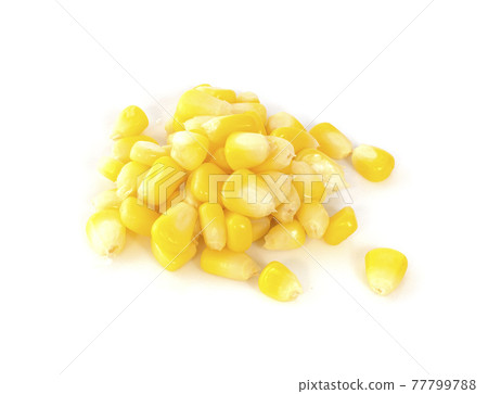 canned corn isolated on a white background canned corn isolated on a white background 77799788