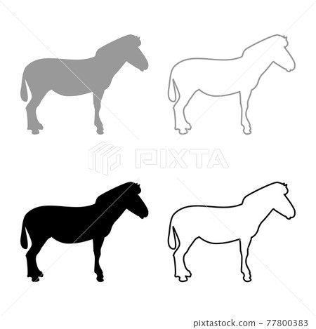 Zebra stand Animal standing silhouette grey black Zebra stand Animal standing silhouette grey black 77800383