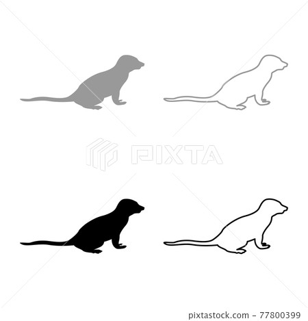 Meerkat in pose Suricata Suricatta silhouette Meerkat in pose Suricata Suricatta silhouette 77800399