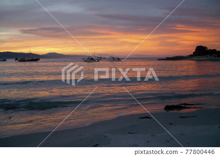 Sunset in Tasmania, Australia 77800446