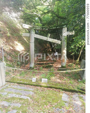 Broken torii Broken torii 77800959