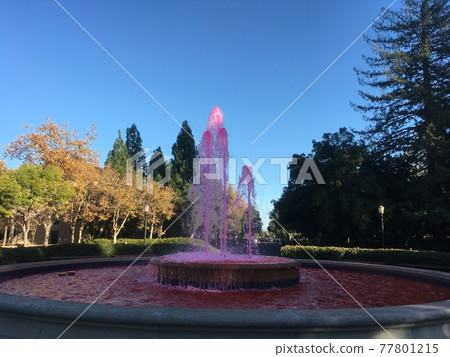 斯坦福大學紅色噴泉(BEAT CAL) 斯坦福大學紅色噴泉(BEAT CAL) 77801215