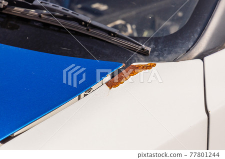 Car body deterioration and rust Car body deterioration and rust, dents Car body deterioration and rust Car body deterioration and rust, dents 77801244