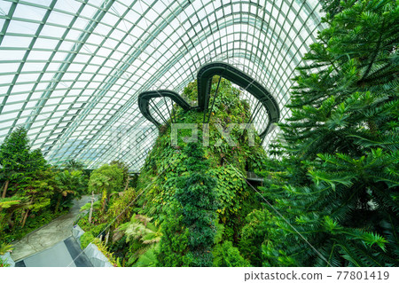 [Singapore] Gardens by the Bay, Cloud Forest, No People 77801419