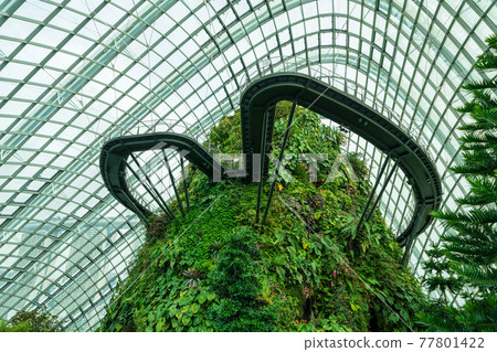 [Singapore] Gardens by the Bay, Cloud Forest, No People 77801422