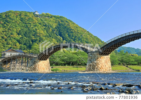[Yamaguchi Prefecture] Fresh green Kintaikyo Bridge and Iwakuni Castle 77801936