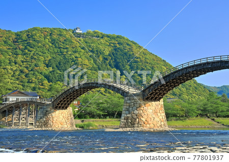 [Yamaguchi Prefecture] Fresh green Kintaikyo Bridge and Iwakuni Castle 77801937