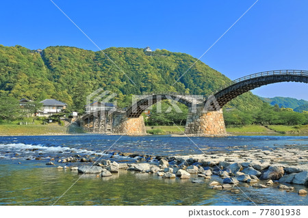 [Yamaguchi Prefecture] Fresh green Kintaikyo Bridge and Iwakuni Castle 77801938