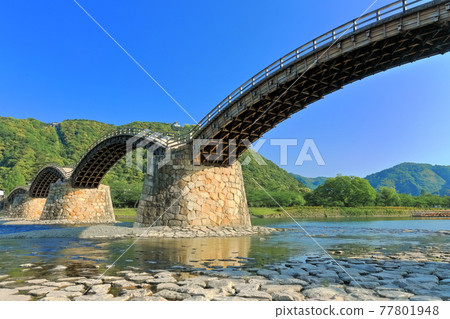【山口縣】翠綠錦帶橋和岩國城 77801948