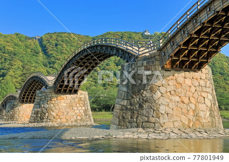 【山口縣】翠綠錦帶橋和岩國城 【山口縣】翠綠錦帶橋和岩國城 77801949