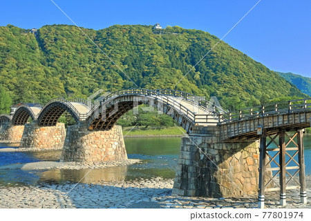 [Yamaguchi Prefecture] Fresh green Kintaikyo Bridge and Iwakuni Castle 77801974