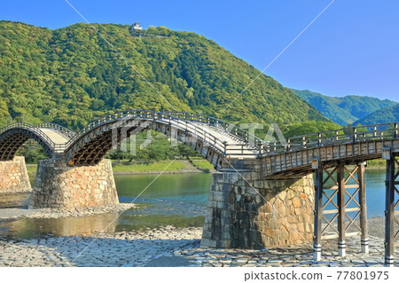 [Yamaguchi Prefecture] Fresh green Kintaikyo Bridge and Iwakuni Castle 77801975