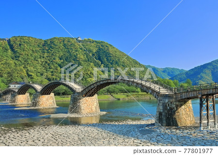 【山口縣】翠綠錦帶橋和岩國城 【山口縣】翠綠錦帶橋和岩國城 77801977