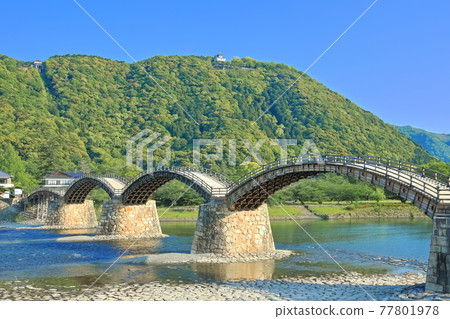 【山口縣】翠綠錦帶橋和岩國城 77801978