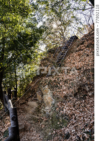 櫪木100名山,大小山,登山路線的風景(觀景台附近)櫪木縣足利市,冬天 櫪木100名山,大小山,登山路線的風景(觀景台附近)櫪木縣足利市,冬天 77802118