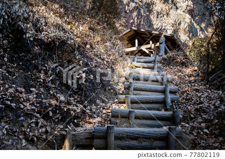 櫪木100名山,大小山,登山路線的風景(觀景台附近)櫪木縣足利市,冬天 櫪木100名山,大小山,登山路線的風景(觀景台附近)櫪木縣足利市,冬天 77802119