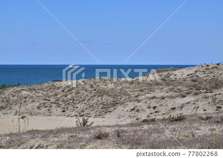 Hitachi Seaside Park Sand Dunes and Pacific Ocean 77802268