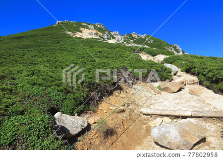中央阿爾卑斯 沓木山 77802958