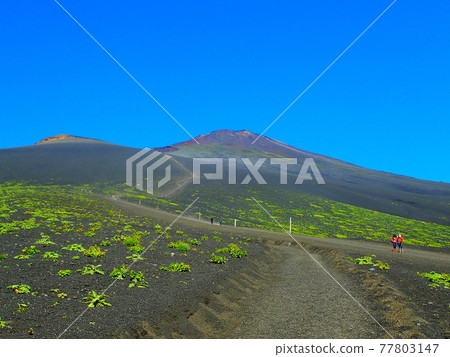 從御殿場路線看到的富士山 77803147