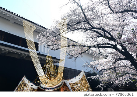Cherry blossoms and helmet at the castle gate Cherry blossoms and helmet at the castle gate 77803361