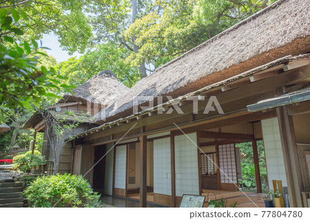 Ruishan Ruishan 77804780