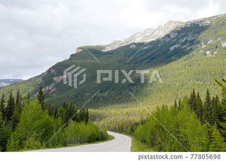 Spring Canadian Rockies Icefield Parkway(加拿大賈斯珀) Spring Canadian Rockies Icefield Parkway(加拿大賈斯珀) 77805698