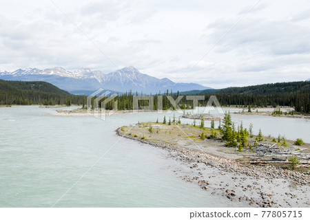 Spring Canadian Rockies Athabasca River (Jasper, Canada) Spring Canadian Rockies Athabasca River (Jasper, Canada) 77805715