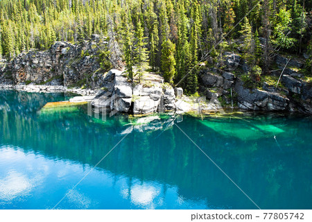 Spring Canadian Rockies Horseshoe Lake (Jasper National Park, Canada) 77805742