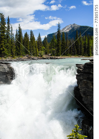 Spring Canadian Rockies Athabasca Falls (Canada) Spring Canadian Rockies Athabasca Falls (Canada) 77805755