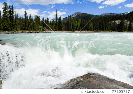 Spring Canadian Rockies Athabasca Falls (Canada) 77805757