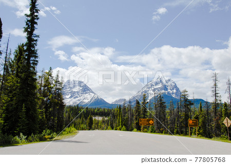 春季加拿大落基山脈冰原大道(加拿大) 春季加拿大落基山脈冰原大道(加拿大) 77805768
