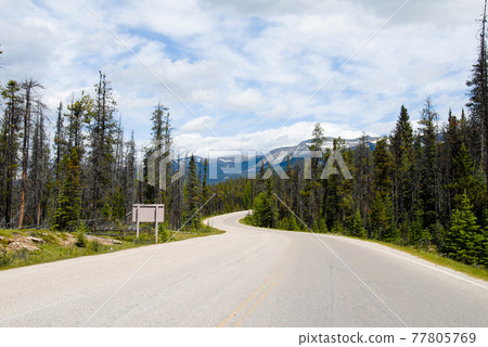 Spring Canadian Rockies Icefield Parkway (Canada) 77805769