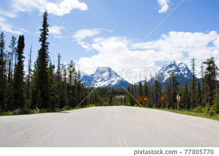 Spring Canadian Rockies Icefield Parkway (Canada) Spring Canadian Rockies Icefield Parkway (Canada) 77805770