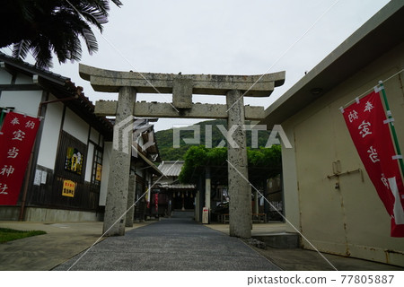 高島 高島 77805887