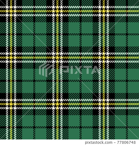 蘇格蘭格紋/綠色 2 77806748