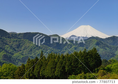 <山梨>春天的富士山 77807713