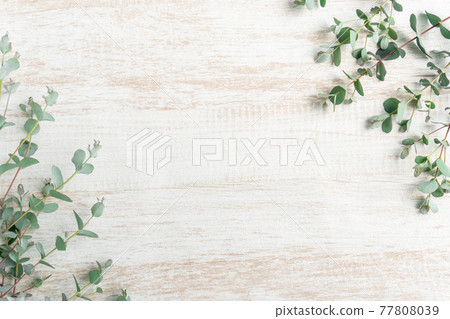Eucalyptus and white grain background 77808039