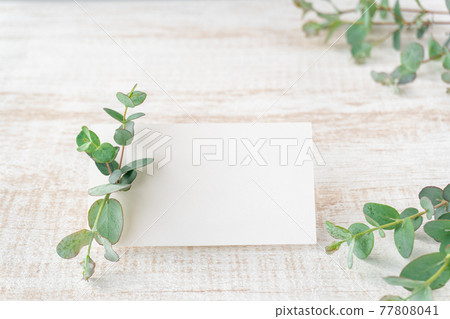 Eucalyptus and mini card 77808041