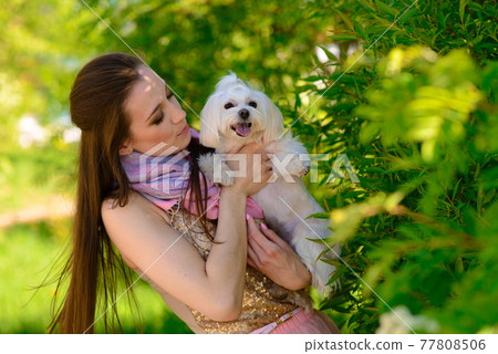 Young girl with her dog. Puppy white dog is running with it's owner. Concept about friendship, animal and freedom. 77808506