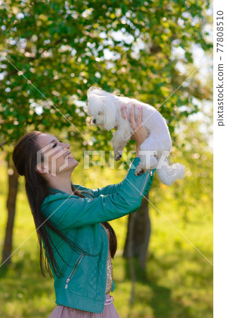 Puppy white dog with it's owner. Concept about friendship, animal and freedom. Puppy white dog with it's owner. Concept about friendship, animal and freedom. 77808510