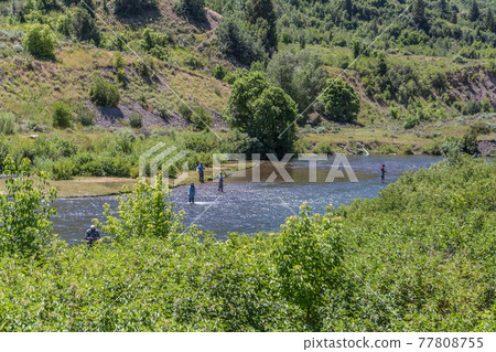 Fly Fishermen on the river Fly Fishermen on the river 77808755