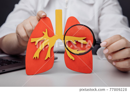 The doctor shows through a magnifying glass on a lung 77809228