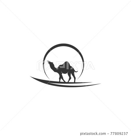 Camel logo icon flat design vector template 77809237