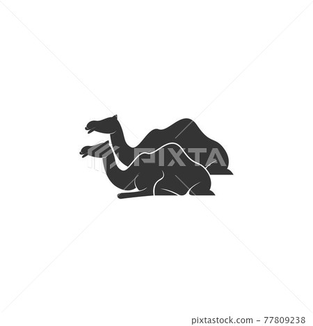 Camel logo icon flat design vector template 77809238