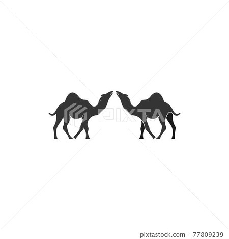 Camel logo icon flat design vector template 77809239