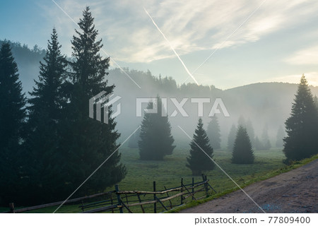 rural valley on foggy sunrise. wonderful nature scenery of forested apuseni mountains, romania. wonderful weather with glowing clouds on the sky 77809400