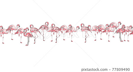 Flamingo Bird Seamless Pattern Flamingo Bird Seamless Pattern 77809490
