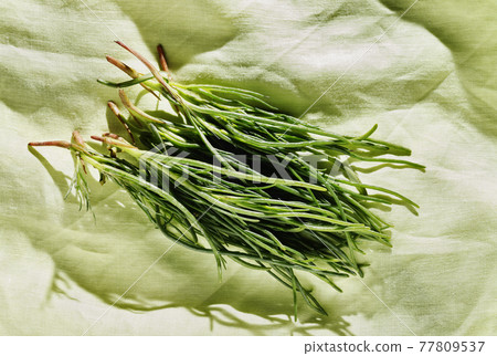 Bunch of salsola soda -agretti - Bunch of salsola soda -agretti - 77809537