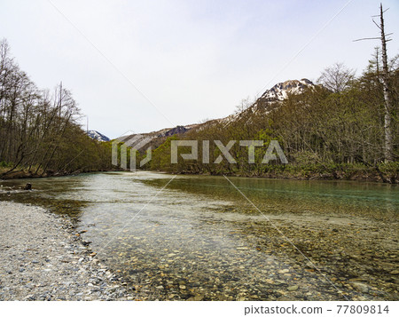 Spring in Kamikochi, a tourist attraction in Matsumoto City, Nagano Prefecture Spring in Kamikochi, a tourist attraction in Matsumoto City, Nagano Prefecture 77809814