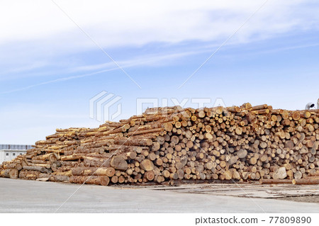 Log used for woody biomass power generation (forest unused wood) 77809890